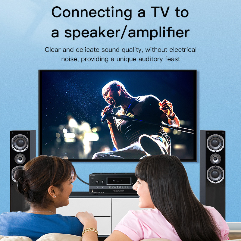 CHOSEAL RCA Cable Digital Coax - Home Cinema Subwoofer のレビューと価格